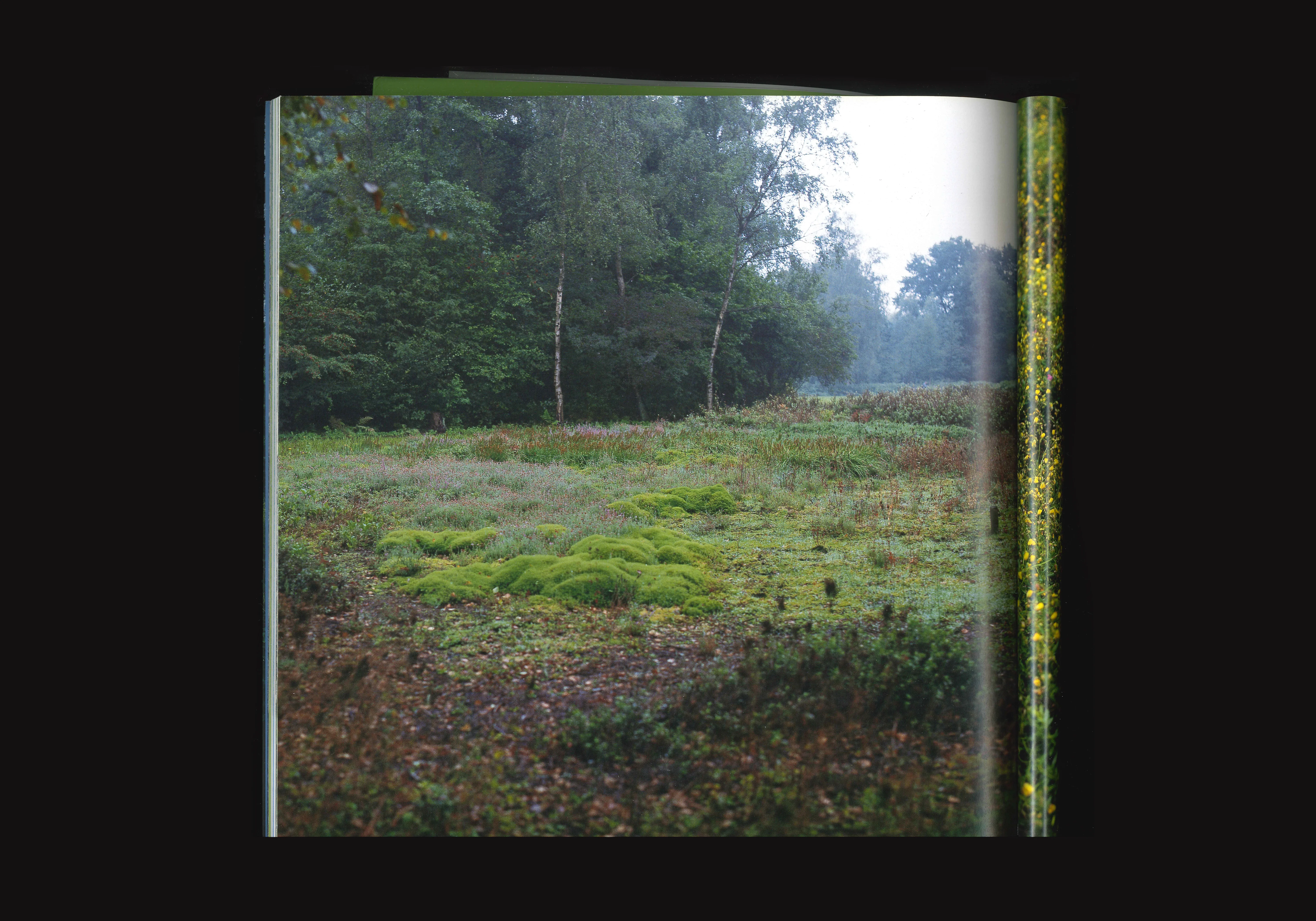 Jac. P. Thijsse Park, image 3